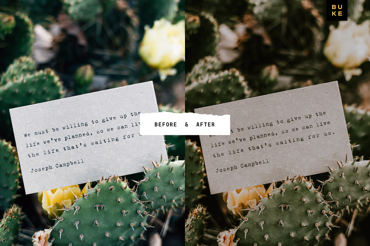 Augustina Lightroom Preset, a Preset Add-On by SHOOM HOUSE (Photo 6 of 7)
