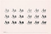 Voxas | 54 Font Serif, a Serif Font by Anthony James (Thumbnail 21 of 22)