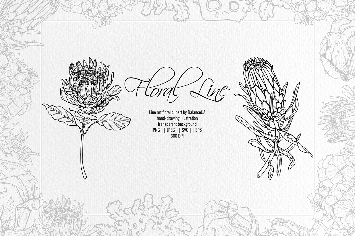 Floral Line Art Clipart, an Illustration by BalanceUA (Photo 1 of 6)