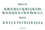 Moleda - Impact Sans Serif Family, a Font by haniefart (Thumbnail 9 of 12)