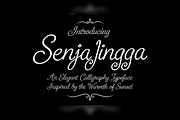 Senja Jingga Romantic Calligraphic, a Script Font by mesuka (Thumbnail 1 of 5)