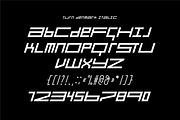 Turn Denmark, a Symbol Font by Here  FF (Thumbnail 13 of 13)