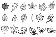 Hand Drawn  Fall Leaves Clipart Bund, an Illustration by Daily.Designs (Thumbnail 2 of 3)