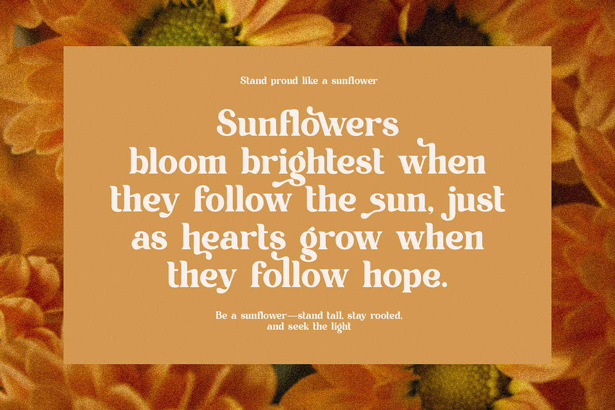 Bilma Elegant Serif Font, a Serif Font by Perfectype (Photo 4 of 8)