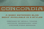 CONCORDIA TYPEFACE, a Slab Serif Font by adamelwell (Thumbnail 5 of 5)