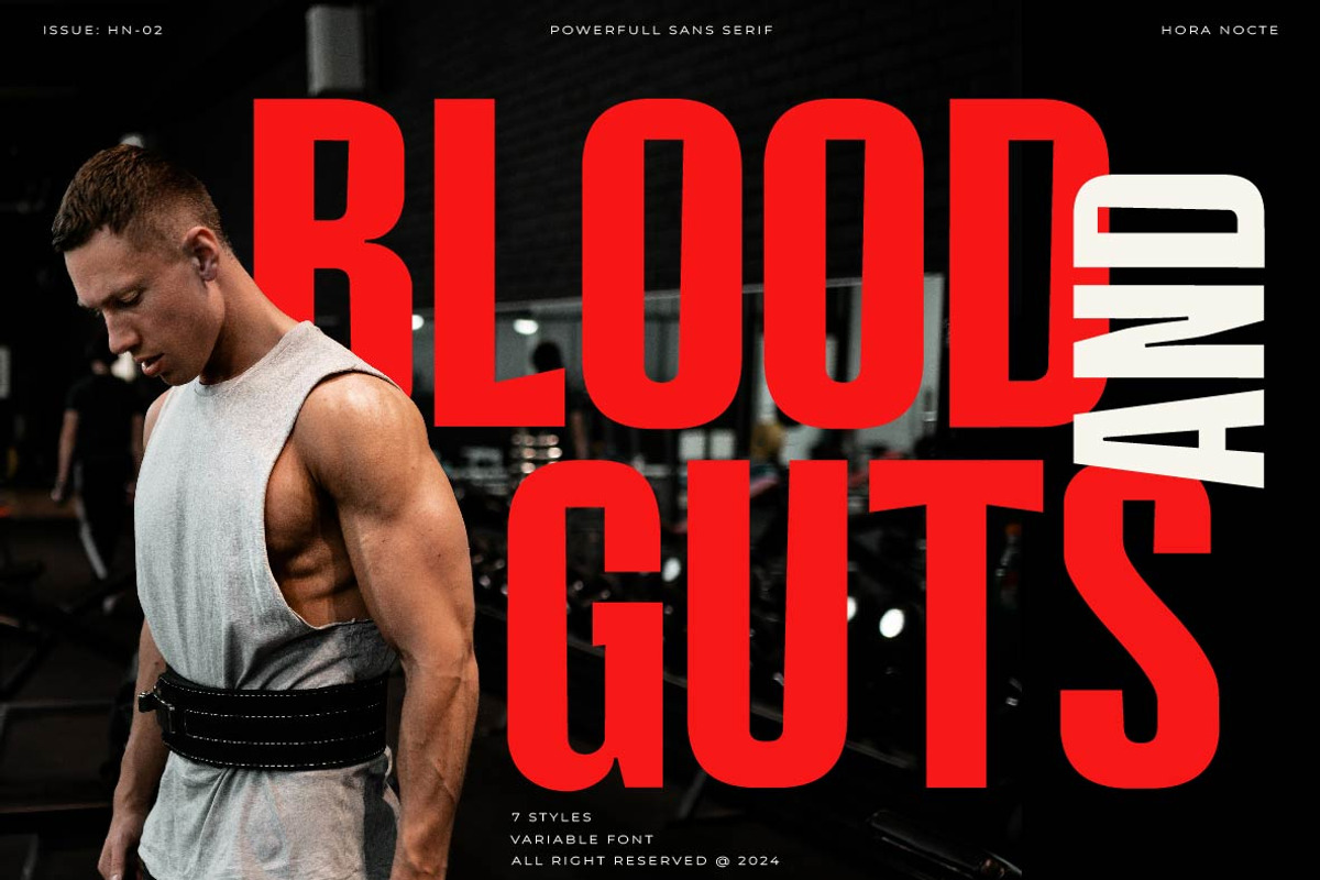 HN Neue Lifter, a Sans Serif Font by Hora Nocte (Photo 9 of 10)