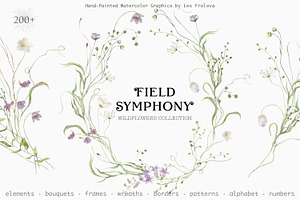 FIELD SYMPHONY- Flowers Collection
