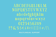 Hollavere – Old Book Serif Font, a Serif Font by Letterhend Studio (Thumbnail 9 of 11)