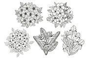 33 Floral Bouquets Set, a Decorative Illustration by Sunset&Sea Design (Thumbnail 4 of 6)