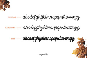 Bagman - Script Font