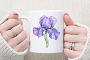 Birthday Flower Blue Iris Clipart Se, an Illustration by Sublimation Artist (Thumbnail 5 of 6)