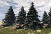 Fir Tree, an Environmental 3D Model by Game-Ready Studio (Thumbnail 1 of 5)