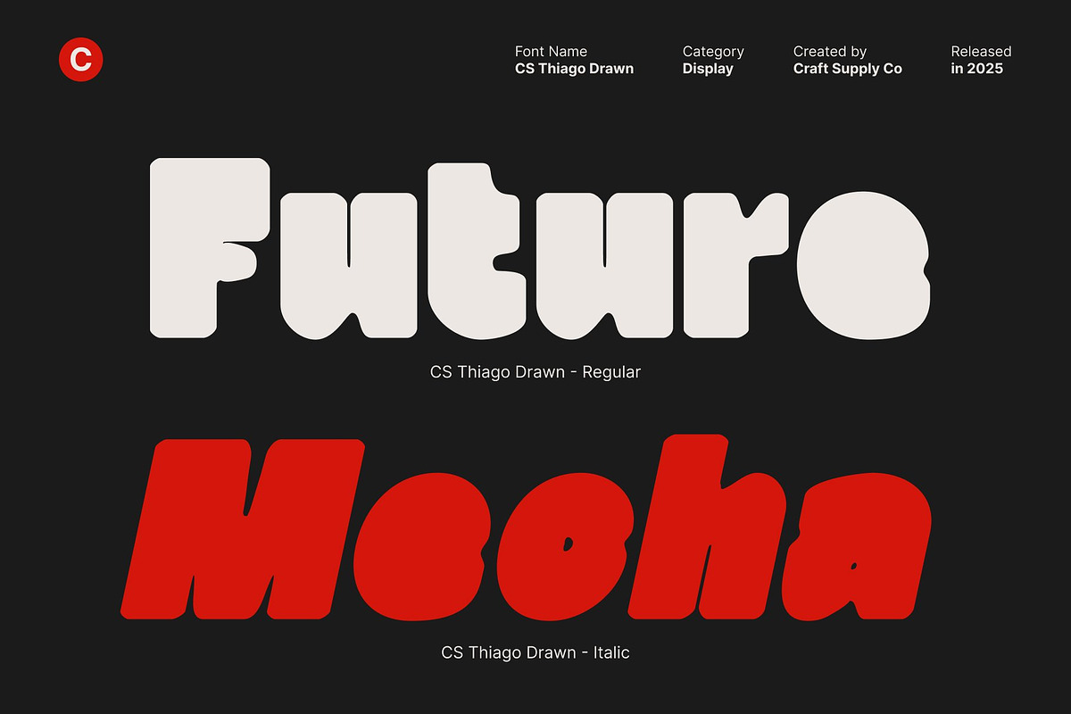 CS Thiago Drawn, a Sans Serif Font by Craft Supply Co. (Photo 3 of 8)