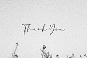 Senatheca Calligraphy Font, a Script Font by Pen Culture (Thumbnail 10 of 10)