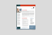 Software Company Datasheet Template, a Flyer Template by StockLayouts (Thumbnail 3 of 5)