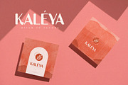 Ravlco — Retro Display Sans, a Sans Serif Font by Almeera Std (Thumbnail 5 of 10)