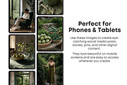60 Green Stock Photos Bundle, a Beauty & Fashion Photo by Selenique Studio (Thumbnail 5 of 12)