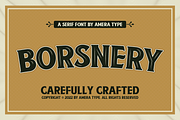 Borsnery, a Serif Font by Amera Type (Thumbnail 1 of 10)
