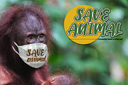Orangutan, a Font by LetterStock (Thumbnail 4 of 7)