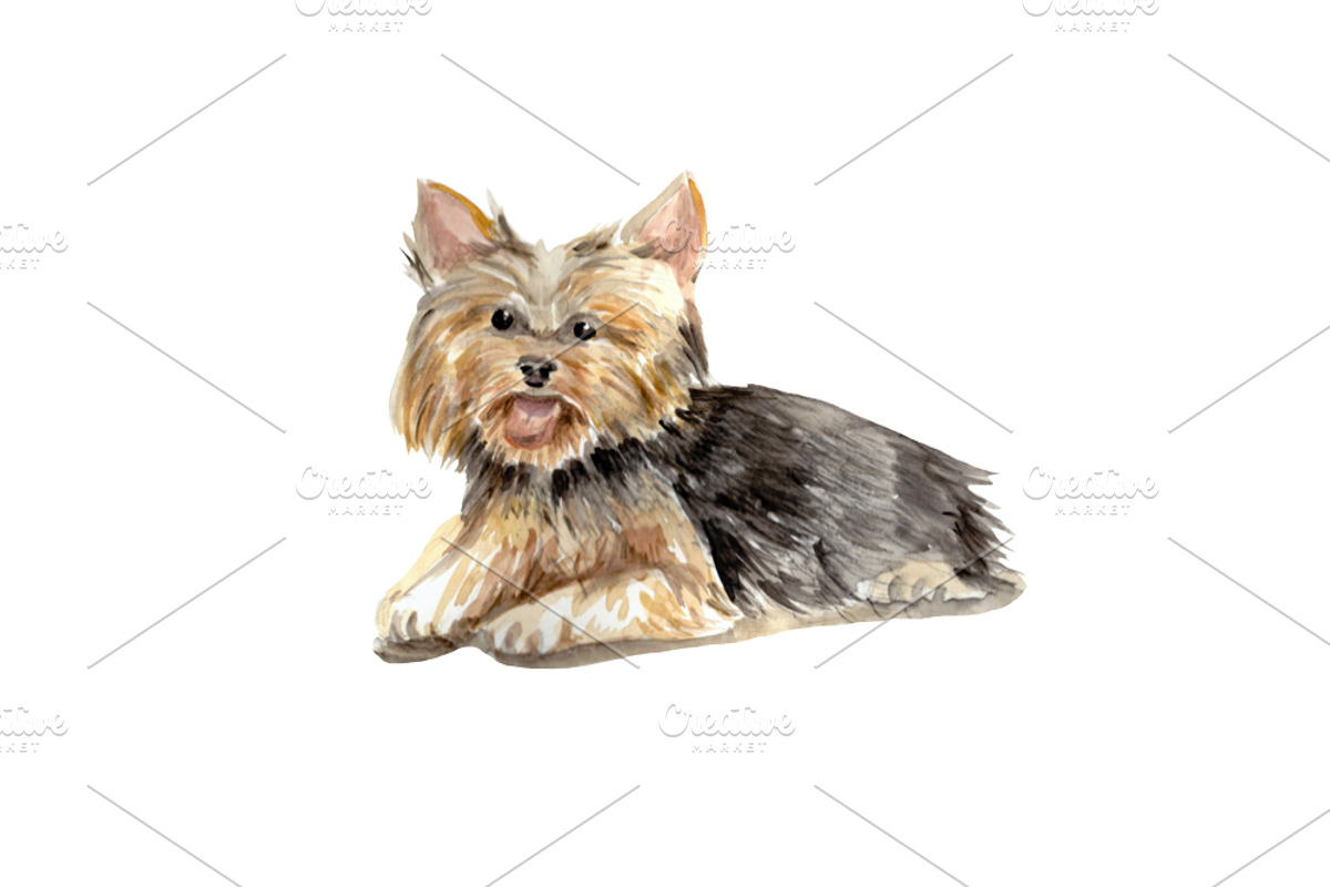 Watercolor Clipart Yorkshire Terrier, an Illustration by MumAndMe (Photo 2 of 2)
