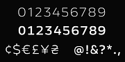 Ambulatoria B, a Sans Serif Font by Pepper Type (Thumbnail 11 of 15)