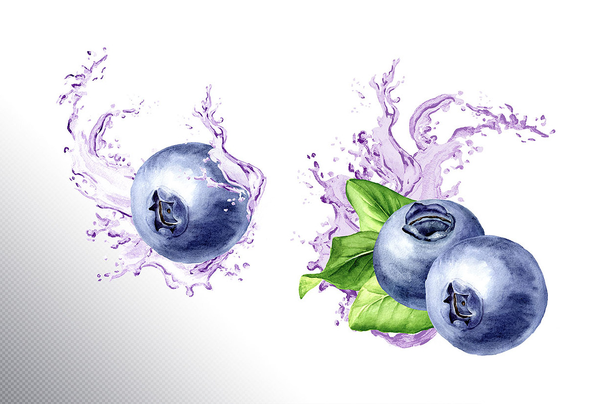 Blueberry. Watercolor collection, a Food Illustration by Daria Ustiugova (Photo 13 of 25)