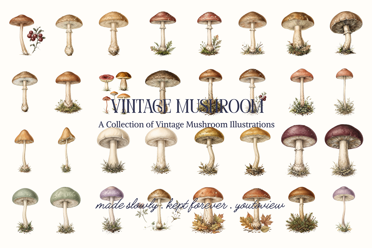 Vintage Mushroom Illustrations, a Decorative Illustration by youtoview (Photo 3 of 13)