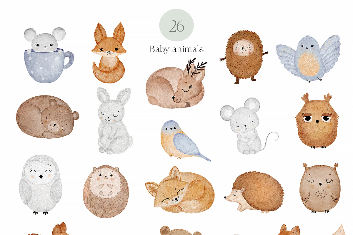 Blossom baby animals kids collection, an Animal Illustration by Allure Art (Photo 2 of 26)