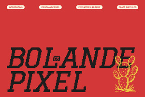 CS Bolande Pixel, a Slab Serif Font by Craft Supply Co.