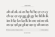 Treifany, a Serif Font by Attract Studio (Thumbnail 19 of 20)