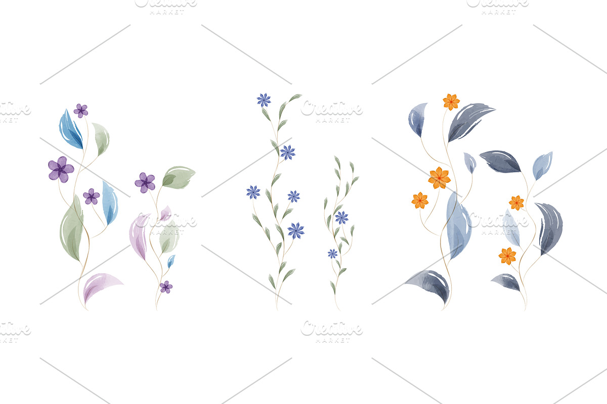Watercolor botanical illustrations, an Illustration by okskukuruza