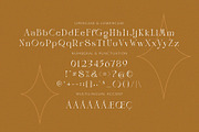 Benjola, a Serif Font by ToniStudio (Thumbnail 5 of 8)