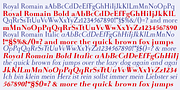 Royal Romain, a Serif Font by Wiescher-Design (Thumbnail 3 of 4)