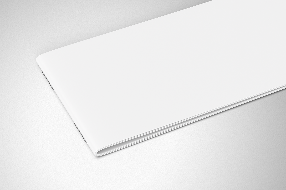 DL Landscape Brochure Mockup, a Product Mockup by Mockupdaddy (Photo 5 of 15)