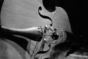 Double Bass in Black & White