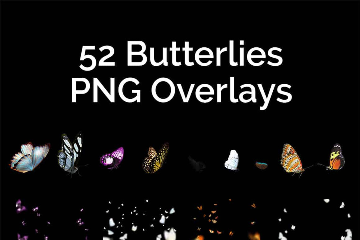 52+ Butterflies Photo Overlays, an Action Add-On by PhotoEffects.Store (Photo 8 of 8)