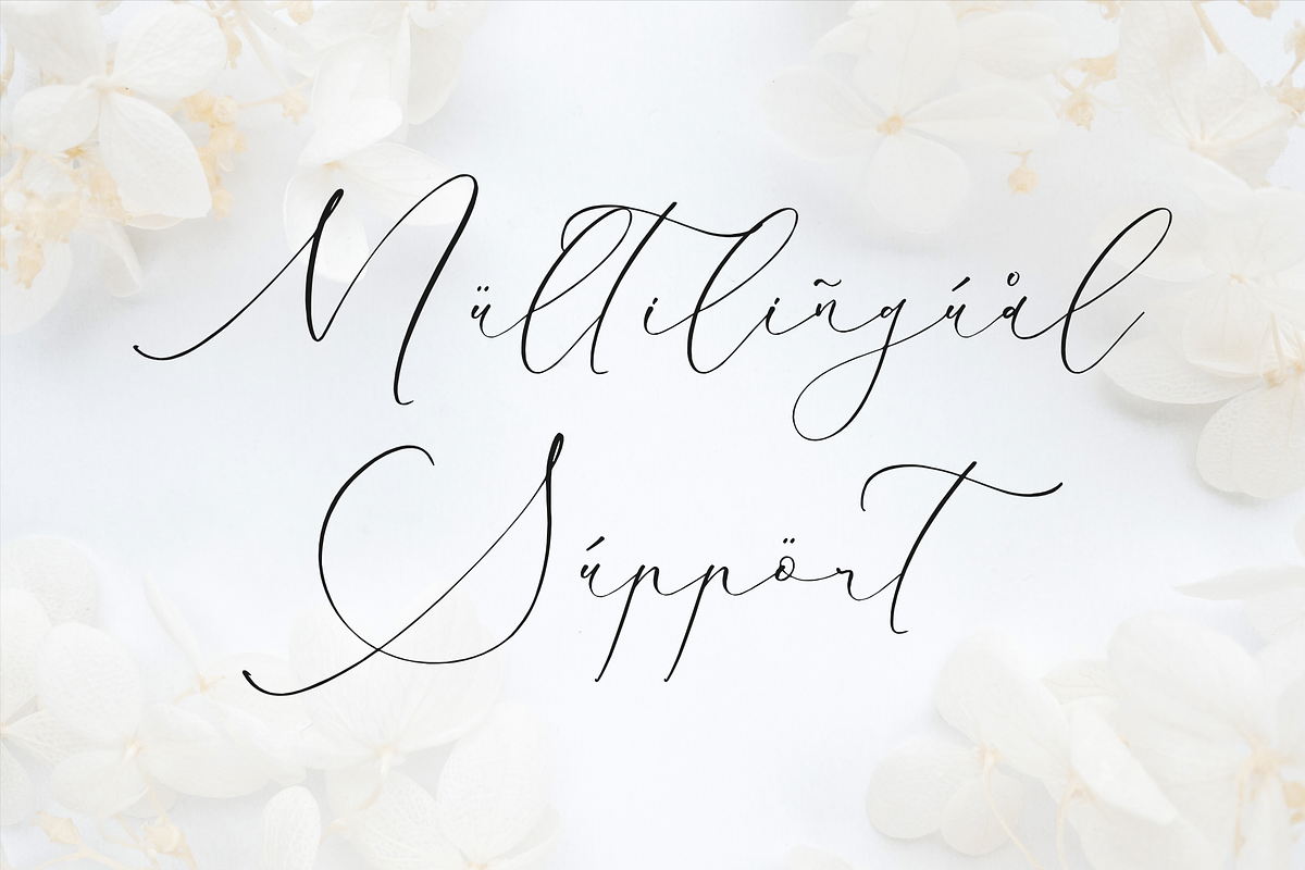 Charttisle wadfield Luxury Font, a Serif Font by Storytype Studio (Photo 12 of 15)