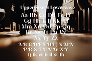 Miles Marathon, a Serif Font by elevencreateam (Thumbnail 7 of 9)