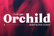 Orchild Serif | 91 Style Font, a Serif Font by Bosstype Studio (Thumbnail 1 of 12)