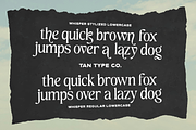 TAN - WHISPER, a Serif Font by TanType (Thumbnail 9 of 10)