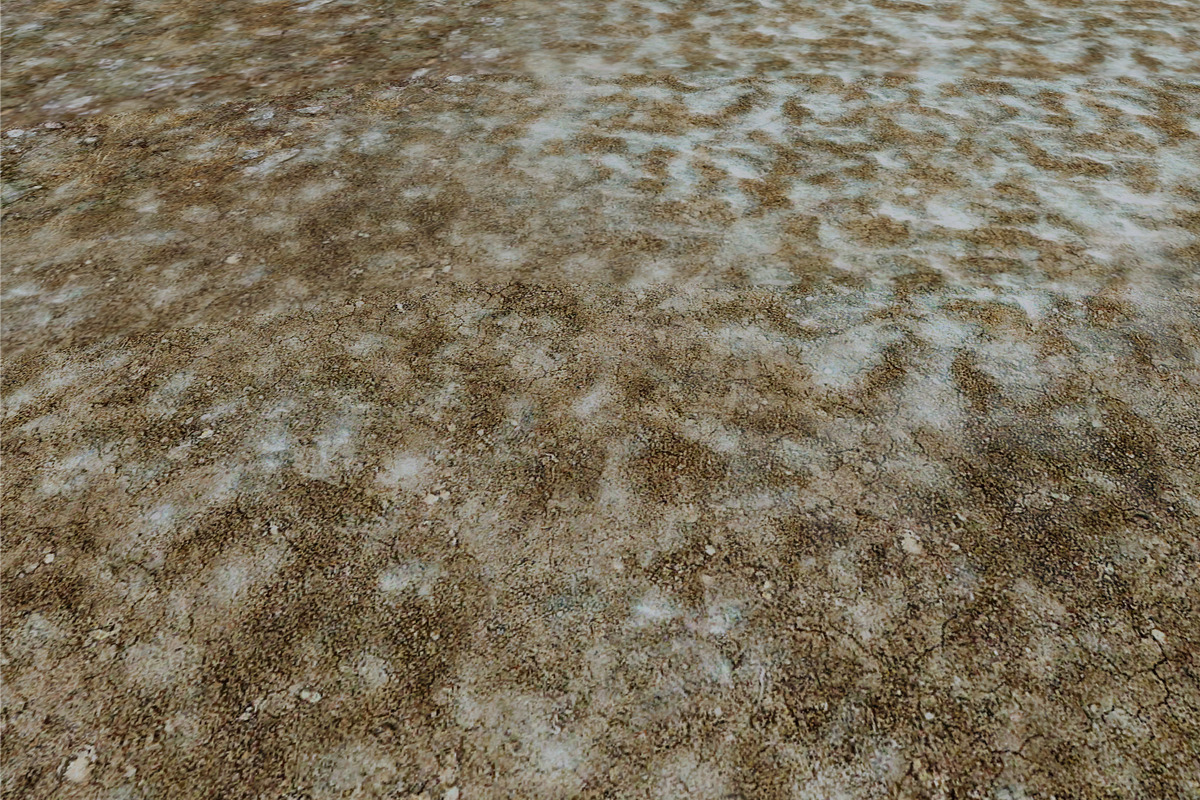 AUTUMN AND WINTER TEXTURE PACK, a Textures & Material 3D Model by Beatheart Creative Studio (Photo 39 of 58)