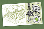 Tea Sketch Collection, an Object Graphic by Live line (Thumbnail 7 of 10)