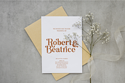 Just Beachy - Serif Font, a Serif Font by Shakira Studio (Thumbnail 2 of 10)
