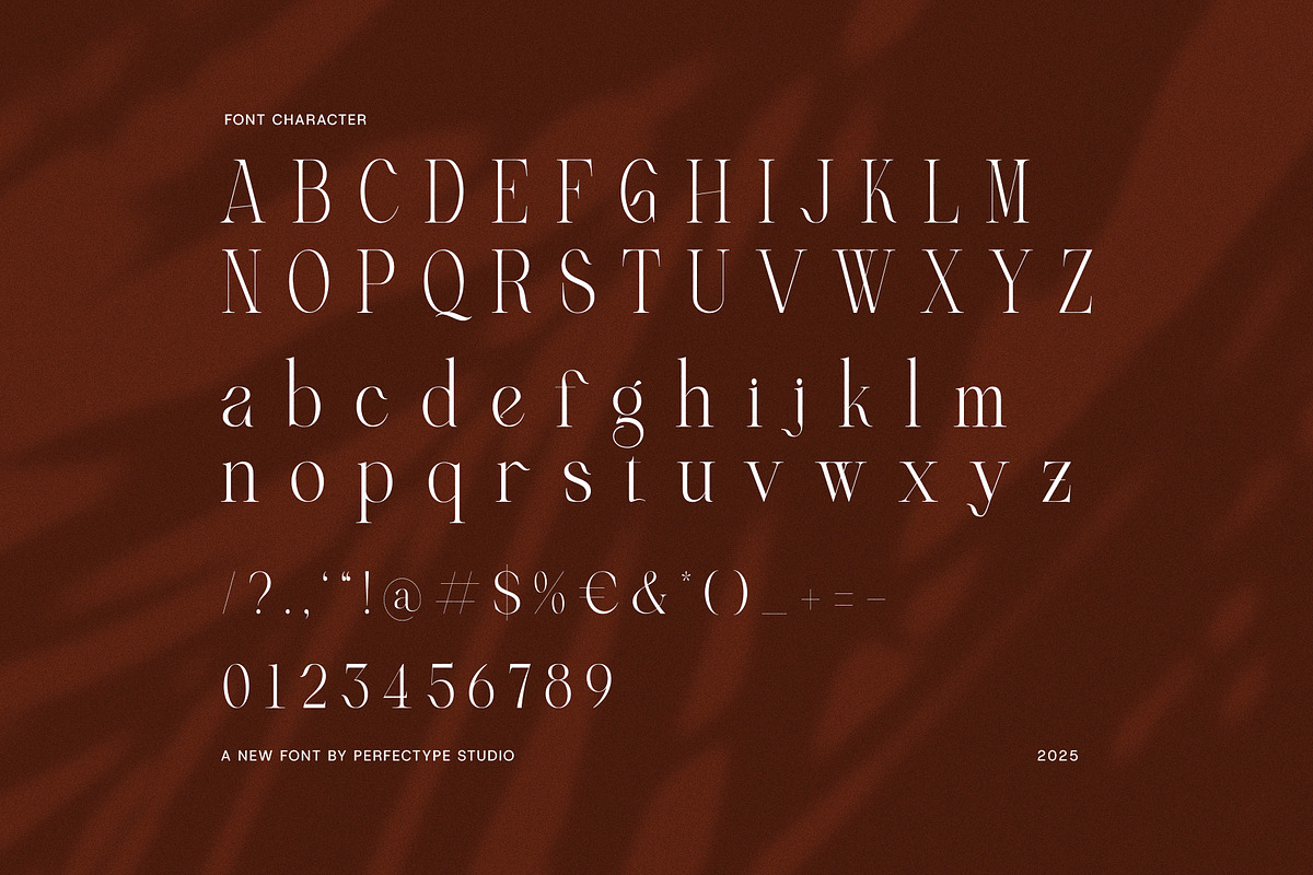 Angella Elegant Serif Font, a Serif Font by Perfectype (Photo 8 of 8)