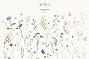 Wildflowers. Watercolor collection, an Illustration by annartdreams (Thumbnail 7 of 14)
