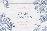 Grape branches&leaves vector clipart, an Object Graphic by Lidia's watercolor world (Thumbnail 2 of 5)
