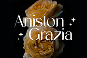 Ragniart Display Serif Font, a Serif Font by UICreative (Thumbnail 3 of 13)