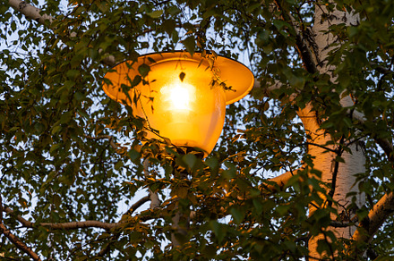 Orange beautiful street lighting lan, a Nature Photo by Illustrations&photos