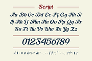 Strikies Sports - Logo Sports, a Slab Serif Font by Nirmana Visual (Thumbnail 2 of 15)