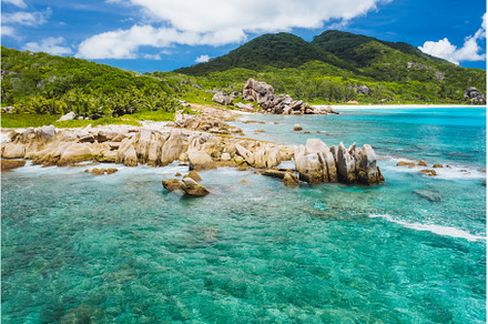 Old coral reef in the white sand, a Nature Photo by Igor Tichonow